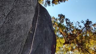 DSC_0881.JPG