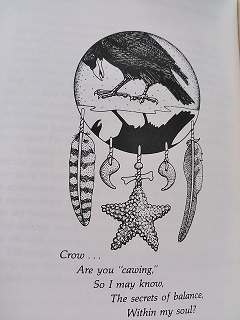 crow medicine.jpg