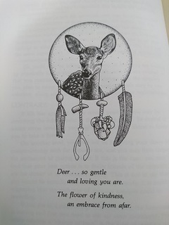 deer.jpg