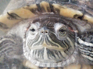 tomodati.jpg